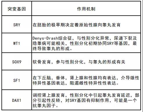 染色体核型结果竟与“现实”不符，“我”到底是男是女？