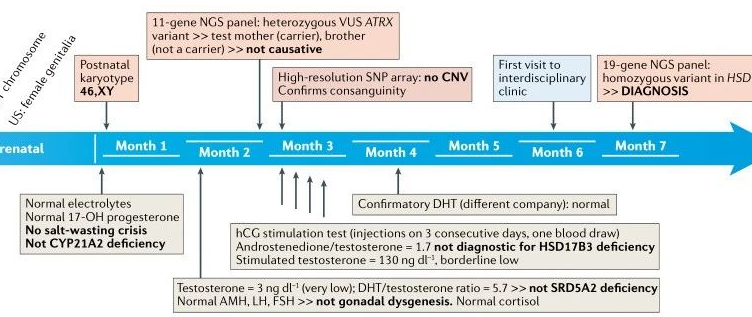  改进人类性别发育障碍的基因诊断