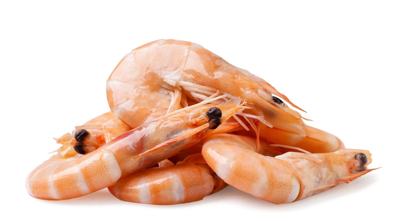 “养殖虾都是吃抗生素、激素长大的”，不能吃了？