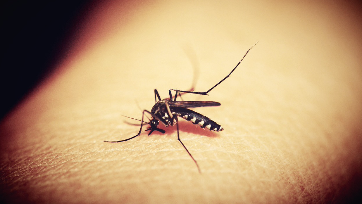 为什么被蚊子咬后会越抓越痒？