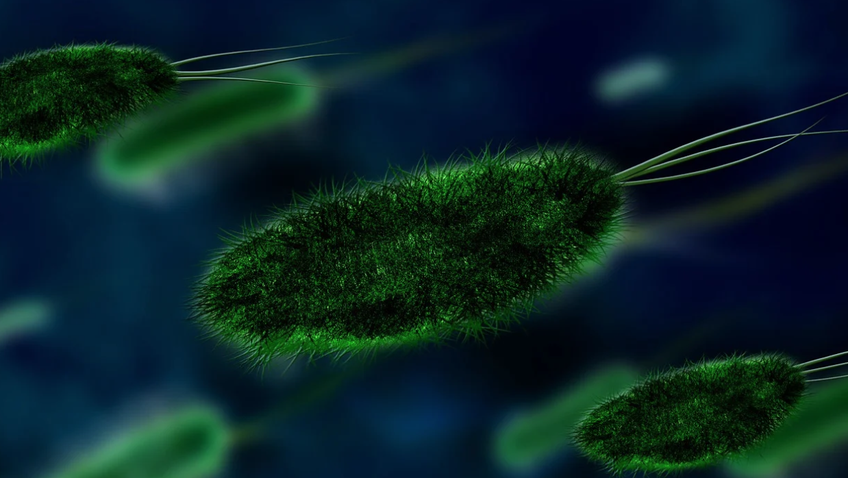 沼气科学研究所最新Nature！研究人员发现一株新的产甲烷菌