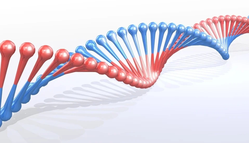 我国科研团队开发出CRISPR/Cas13基因编辑新工具